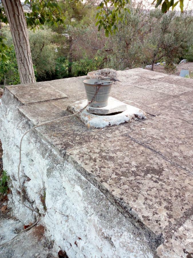 Villa Anna Selva Di Fasano Bagian luar foto