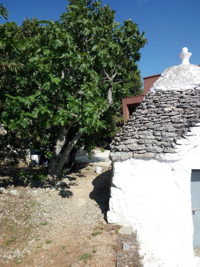 Villa Anna Selva Di Fasano Bagian luar foto